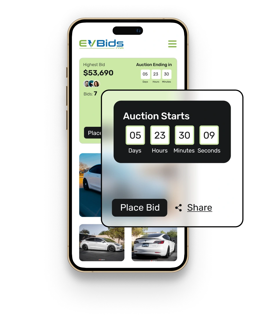 Auction